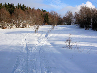 Traces d'une moto neige vers les Granges de Scioux