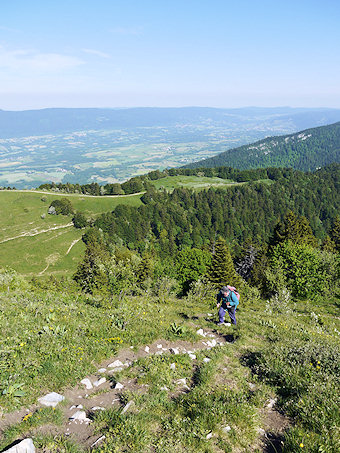 Par les crêtes du Grand Colombier