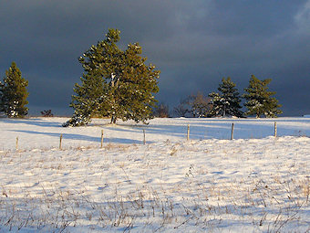 Lumière d'hiver, Innimmond