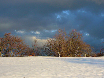 Lumière d'hiver, Innimmond