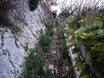 Falaise de Saint- Benoît, Bugey