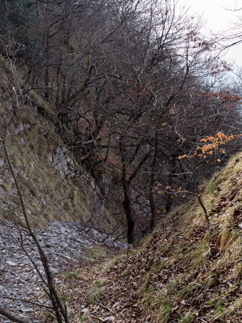 Descente des Prés Froids