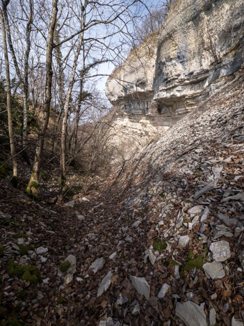 Falaise des Prés Froids