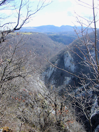 Vallon de l'Arodin, ruisseau des Gouilles, Lompnas