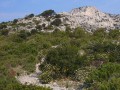 Le Cap Gros depuis la croupe des Charbonniers