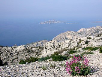 L'Ile Riou depuis le Cap Gros