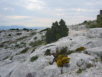 Plateau entre le Mont Puget et le Cap Gros