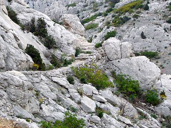 Le sentier du Vallon des Rampes