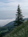 Au Mont Forchat, le Lac Léman