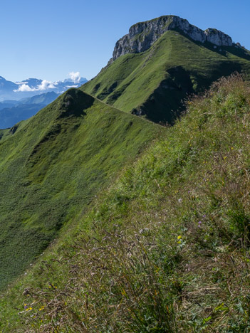 Dépression du Col de Floray