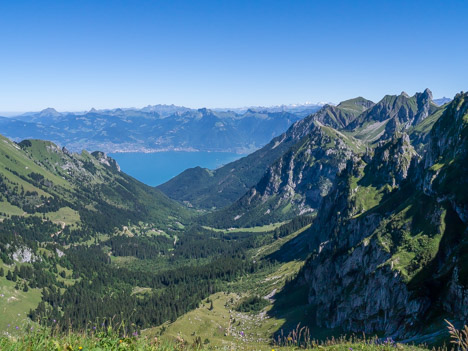 Au Col de Planchamp