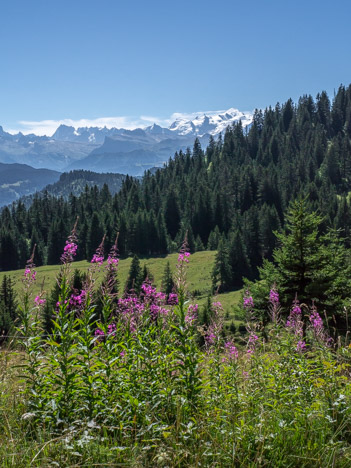 Près du Col de la Ramaz