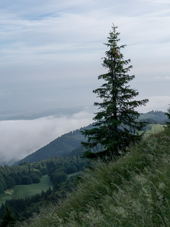 Au Mont Forchat, le Lac Léman