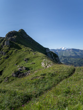 Crête sous la croix de la Montagne du Pertuis