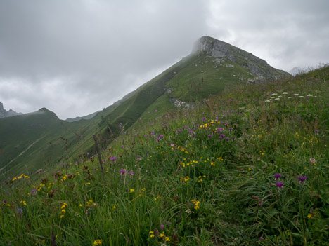 La Pointe de Bénevent