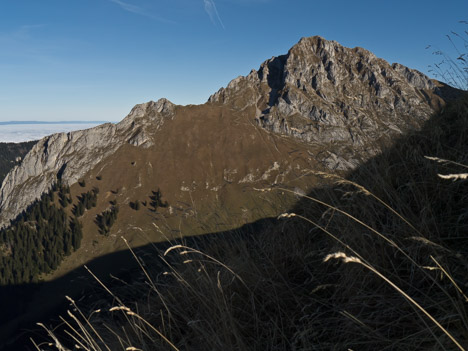 Dent d'Oche