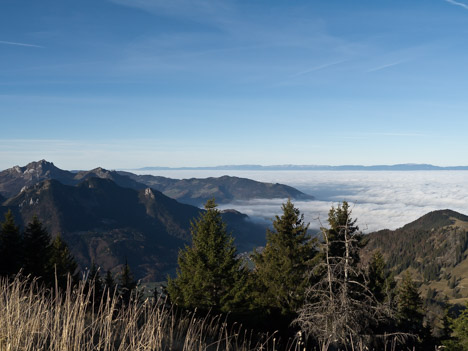 Tête des Fieux