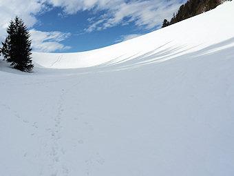 Col de l'Aliénard