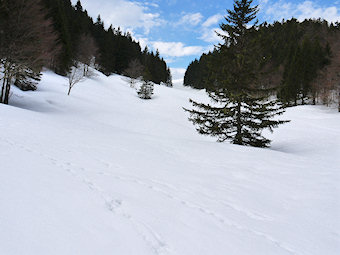 La prairie de l'Aliénard