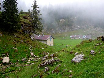 Cabane de l'Alpette Chapareillan, Isère