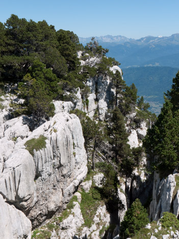 Profonde entaille dans le plateau calcaire