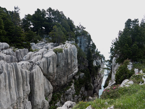 Crevasse d'un lapiaz des Rochers de Belles Ombres