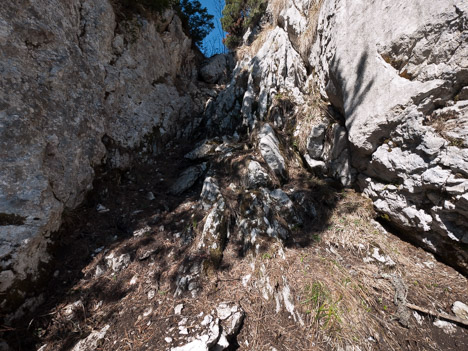 Grand Sangle de Belles Ombres, Chartreuse