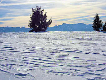 Neige sculptée par le vent