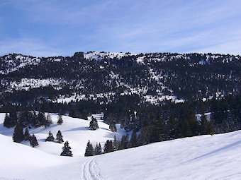 Versant Ouest des Rochers de Belles Ombres