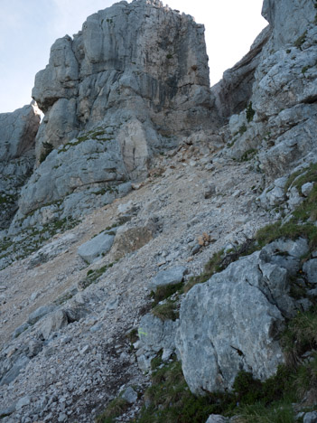 Chamechaude, au pied du couloir cheminée Ouest