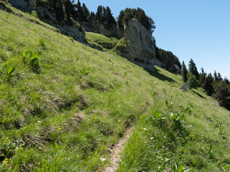 Chamechaude, cirque rocheux et paravalanche