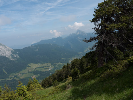 Au dessus du Jardin de Chamechaude