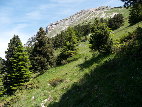 plateau Sud de Chamechaude