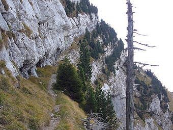 Sur le sangle du Jardin de Chamechaude