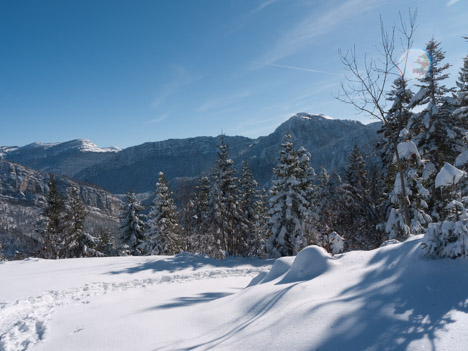 L'arête de Bérard et le Charmant Som