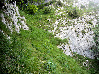 Couloir pierreux de la Cochette