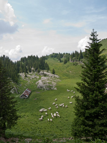 Cabane et Habert de l'Alpette