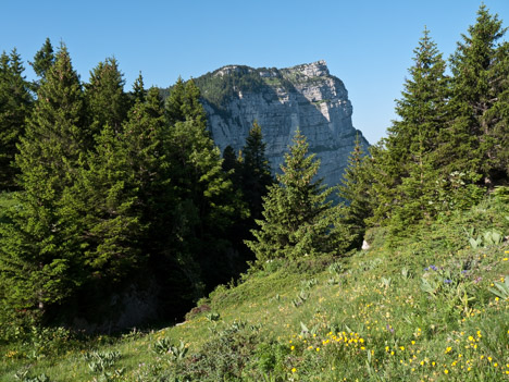 Sommet du Pinet, falaise Nord