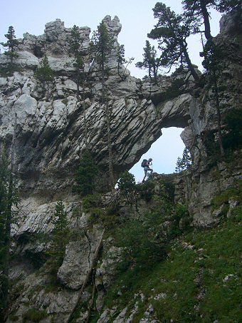 L'Arche à l'Aiguille