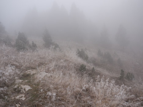 Givre sur le GR9