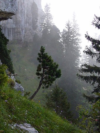 Sangle Ouest de la Dent de Crolles