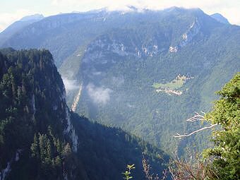 Chartreuse de Curière