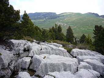 Lapiaz sur la crête des Rochers du Fouda Blanc