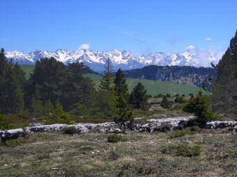 Sur le plateau sous les rochers du Fouda Blanc