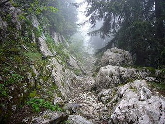 Sous le Piton de Bellefont