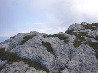 Borne Frontière France/Savoie sur la crête du Gand Manti