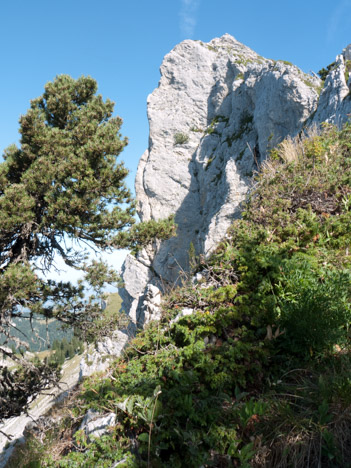 Sur l'arête de la Suiffière