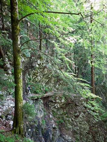 Passerelle en rive droite du Ruisseau de Chorolant