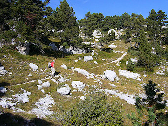 Plateau Est du Mont Granier