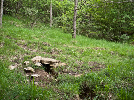 Source des charbonnier, Lac Noir